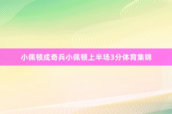 小佩顿成奇兵小佩顿上半场3分体育集锦