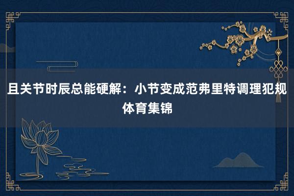 且关节时辰总能硬解：小节变成范弗里特调理犯规体育集锦