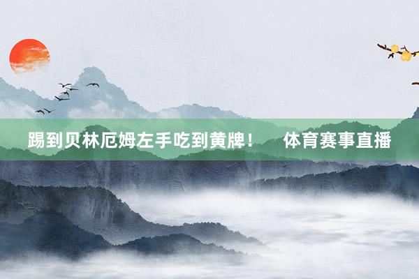 踢到贝林厄姆左手吃到黄牌！    体育赛事直播