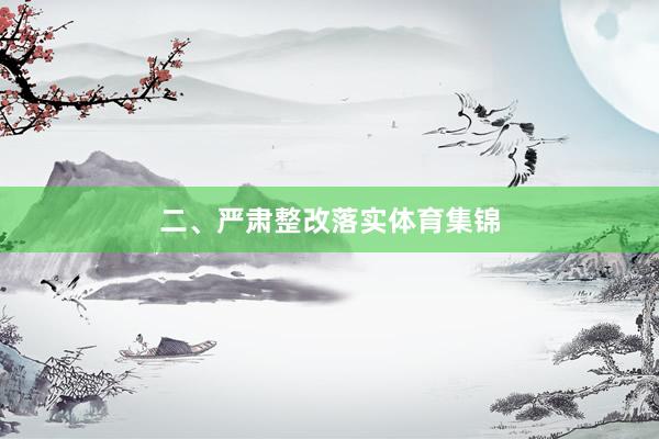 二、严肃整改落实体育集锦