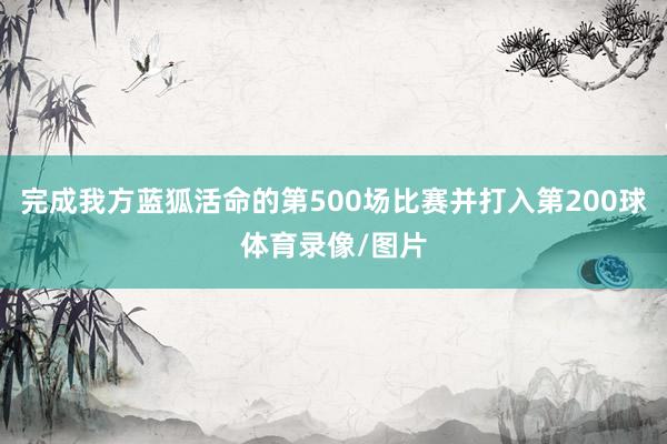 完成我方蓝狐活命的第500场比赛并打入第200球体育录像/图片