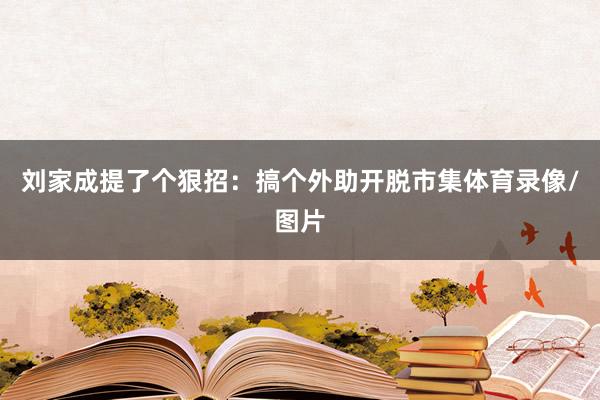 刘家成提了个狠招：搞个外助开脱市集体育录像/图片