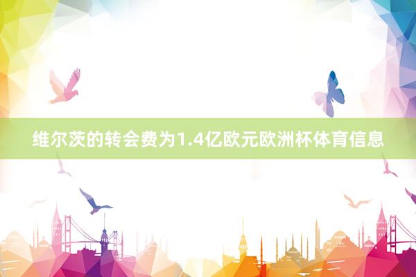 维尔茨的转会费为1.4亿欧元欧洲杯体育信息