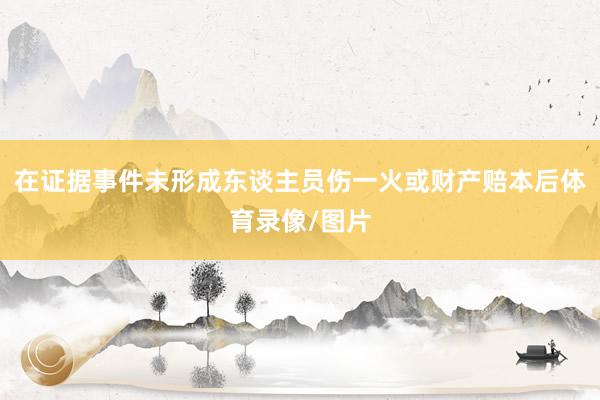 在证据事件未形成东谈主员伤一火或财产赔本后体育录像/图片