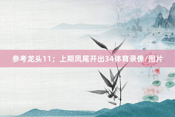 参考龙头11；上期凤尾开出34体育录像/图片