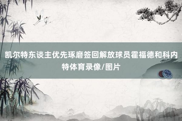 凯尔特东谈主优先琢磨签回解放球员霍福德和科内特体育录像/图片