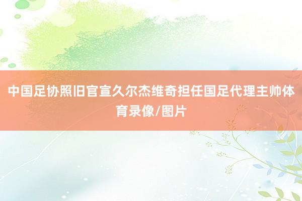 中国足协照旧官宣久尔杰维奇担任国足代理主帅体育录像/图片