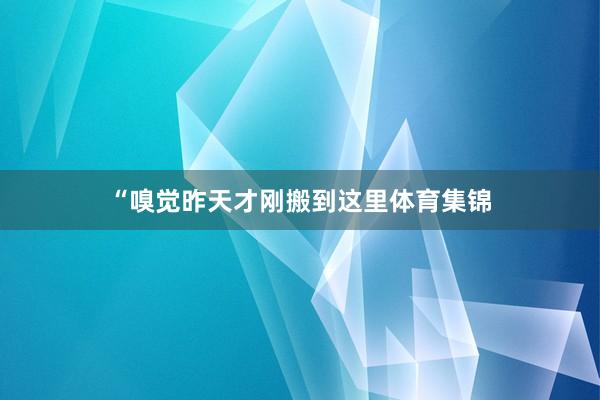 “嗅觉昨天才刚搬到这里体育集锦