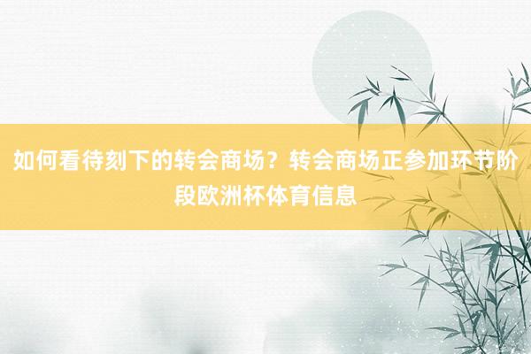 如何看待刻下的转会商场？转会商场正参加环节阶段欧洲杯体育信息
