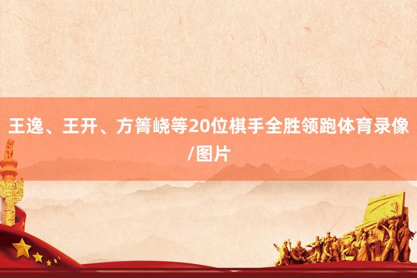 王逸、王开、方箐峣等20位棋手全胜领跑体育录像/图片