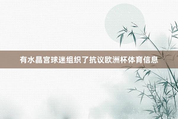有水晶宫球迷组织了抗议欧洲杯体育信息