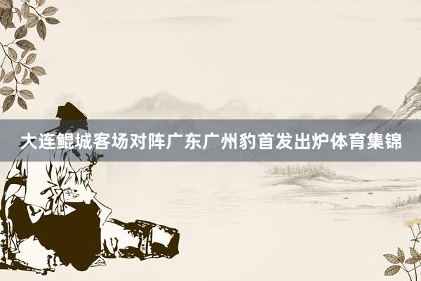 大连鲲城客场对阵广东广州豹首发出炉体育集锦