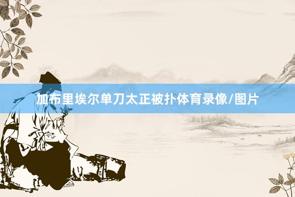 加布里埃尔单刀太正被扑体育录像/图片