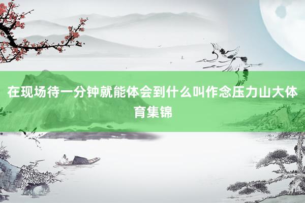 在现场待一分钟就能体会到什么叫作念压力山大体育集锦