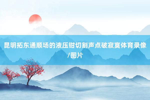 昆明拓东通顺场的液压钳切割声点破寂寞体育录像/图片