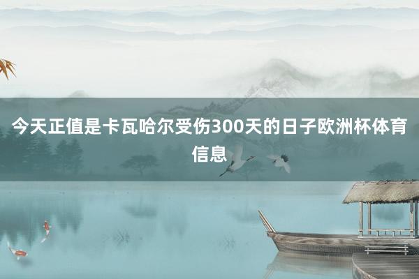 今天正值是卡瓦哈尔受伤300天的日子欧洲杯体育信息