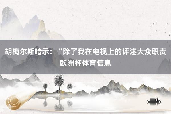 胡梅尔斯暗示：“除了我在电视上的评述大众职责欧洲杯体育信息