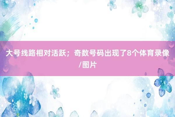 大号线路相对活跃；奇数号码出现了8个体育录像/图片