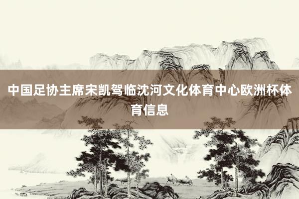 中国足协主席宋凯驾临沈河文化体育中心欧洲杯体育信息