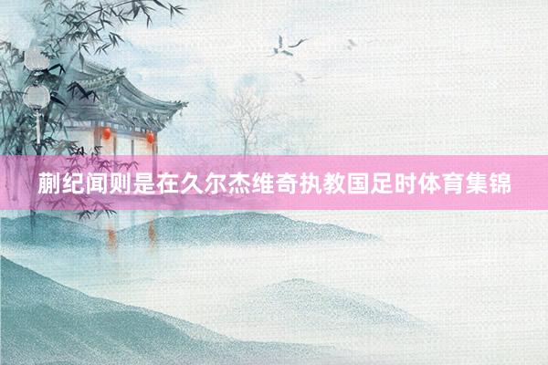 蒯纪闻则是在久尔杰维奇执教国足时体育集锦
