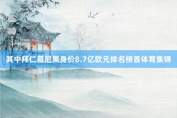 其中拜仁慕尼黑身价8.7亿欧元排名榜首体育集锦