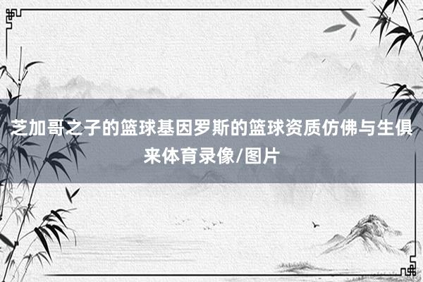芝加哥之子的篮球基因罗斯的篮球资质仿佛与生俱来体育录像/图片