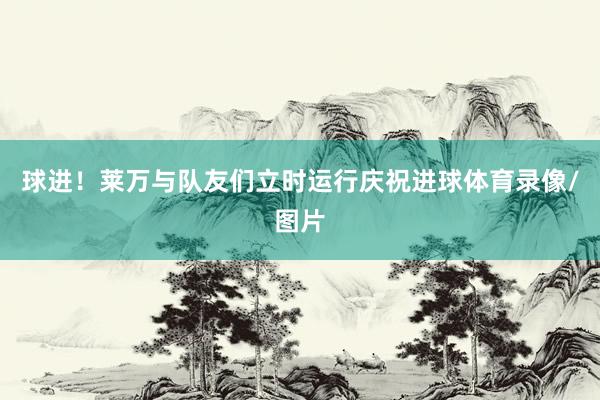 球进！莱万与队友们立时运行庆祝进球体育录像/图片