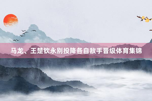 马龙、王楚钦永别投降各自敌手晋级体育集锦