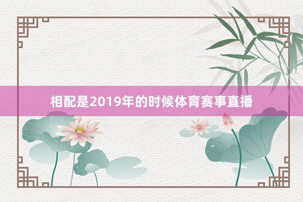 相配是2019年的时候体育赛事直播