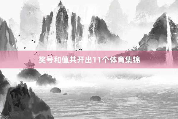 奖号和值共开出11个体育集锦