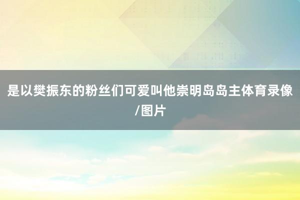 是以樊振东的粉丝们可爱叫他崇明岛岛主体育录像/图片