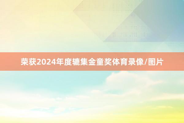 荣获2024年度辘集金童奖体育录像/图片