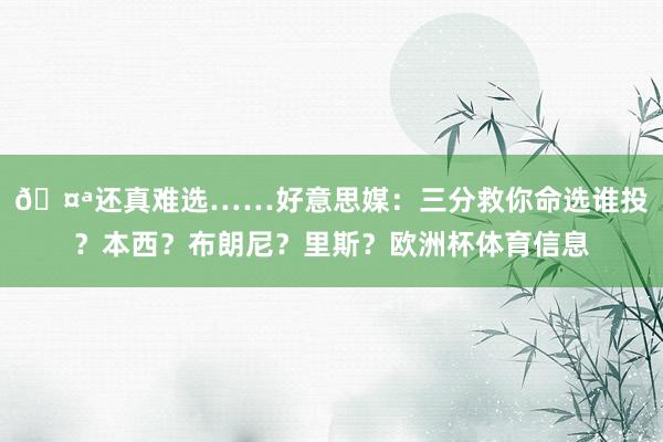 🤪还真难选……好意思媒：三分救你命选谁投？本西？布朗尼？里斯？欧洲杯体育信息