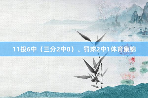 11投6中（三分2中0）、罚球2中1体育集锦