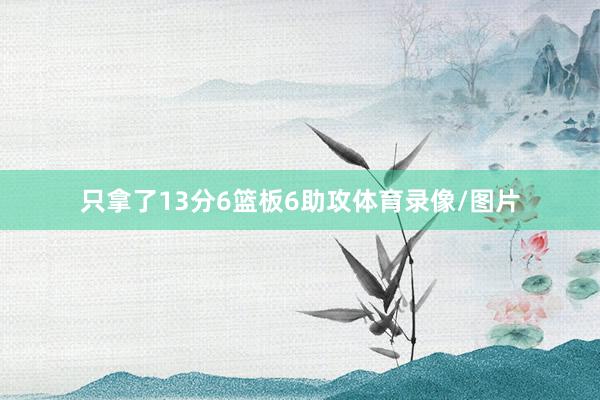 只拿了13分6篮板6助攻体育录像/图片