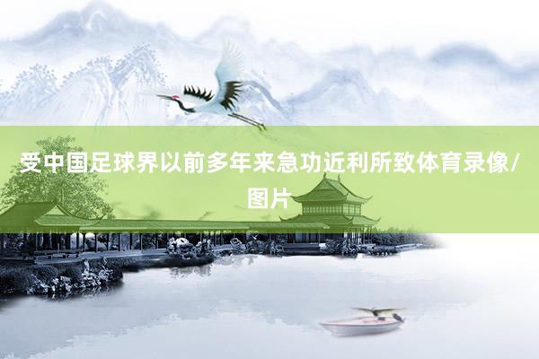 受中国足球界以前多年来急功近利所致体育录像/图片