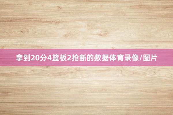 拿到20分4篮板2抢断的数据体育录像/图片