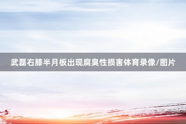 武磊右膝半月板出现腐臭性损害体育录像/图片