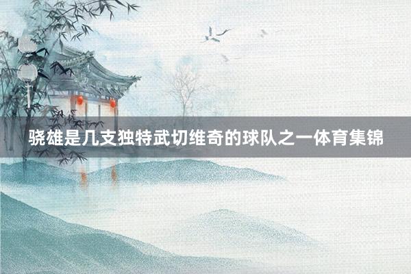 骁雄是几支独特武切维奇的球队之一体育集锦