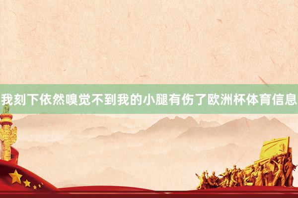 我刻下依然嗅觉不到我的小腿有伤了欧洲杯体育信息