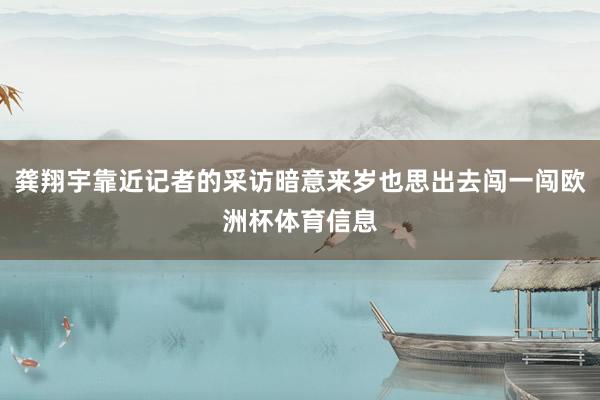 龚翔宇靠近记者的采访暗意来岁也思出去闯一闯欧洲杯体育信息