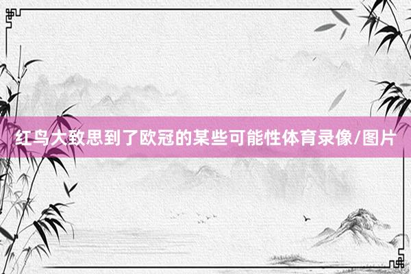 红鸟大致思到了欧冠的某些可能性体育录像/图片