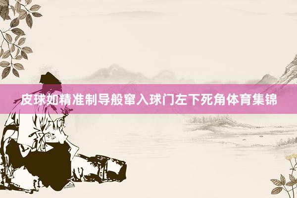 皮球如精准制导般窜入球门左下死角体育集锦