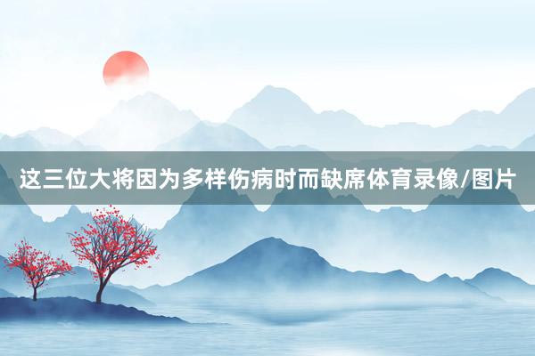 这三位大将因为多样伤病时而缺席体育录像/图片