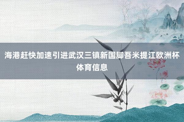 海港赶快加速引进武汉三镇新国脚吾米提江欧洲杯体育信息