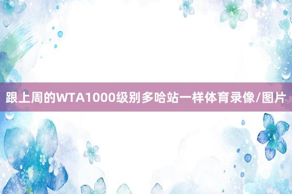 跟上周的WTA1000级别多哈站一样体育录像/图片