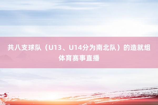 共八支球队(U13、U14分为南北队)的造就组体育赛事直播