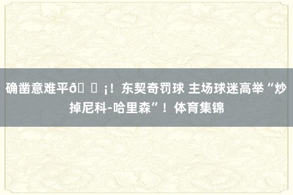 确凿意难平😡！东契奇罚球 主场球迷高举“炒掉尼科-哈里森”！体育集锦